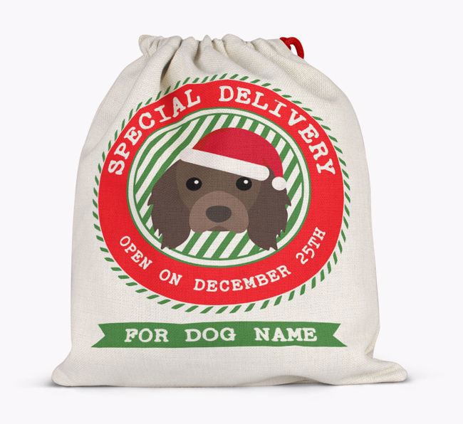 Special Delivery: Personalized {breedFullName} Santa Sack